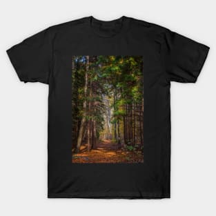 Tall Evergreen Trail T-Shirt